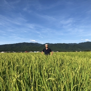 【※玄米】2023年産 岩船産コシヒカリ　製品部 和田崇の自家栽培